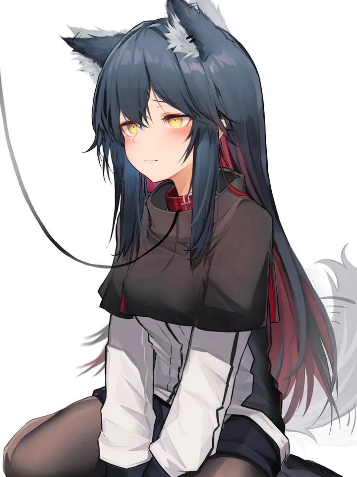 1girl,between_legs,animal_ears,bangs,solo,two-tone_hair,closed_mouth,sitting,multicolored_hair,jacket,capelet,tail,hair_between_eyes,gloves,hand_between_legs,tail_wagging,simple_background,leash,wolf_girl,wolf_tail,wolf_ears,white_jacket,white_background,shorts,vertical,red_hair,red_collar,animal_ear_fluff,blush,pantyhose,long_hair,long_sleeves,collar,wariza,yellow_eyes,black_hair,black_gloves,black_capelet,black_shorts,black_pantyhose,black_footwear