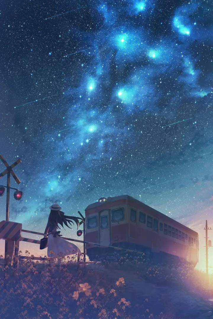 1girl,train,bag,solo,ground_vehicle,night,night_sky,sky,hat,outdoors,holding,star_sky,starry_sky,shooting_star,white_headwear,white_dress,vertical,standing,from_behind,grass,dress,railroad_tracks,milky_way,long_hair,scenery,black_hair