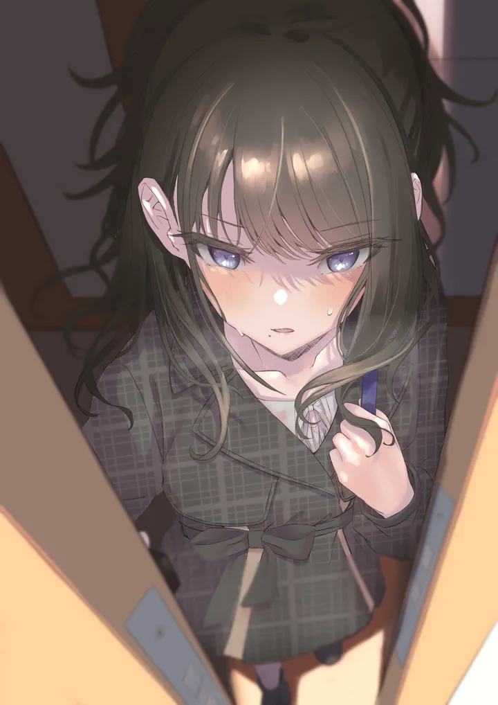 1girl,from_above,bangs,bag,solo,plaid,sweat,mole,looking_at_viewer,vertical,mole_under_mouth,blush,blue_eyes,collarbone,long_hair,door,ponytail,black_hair