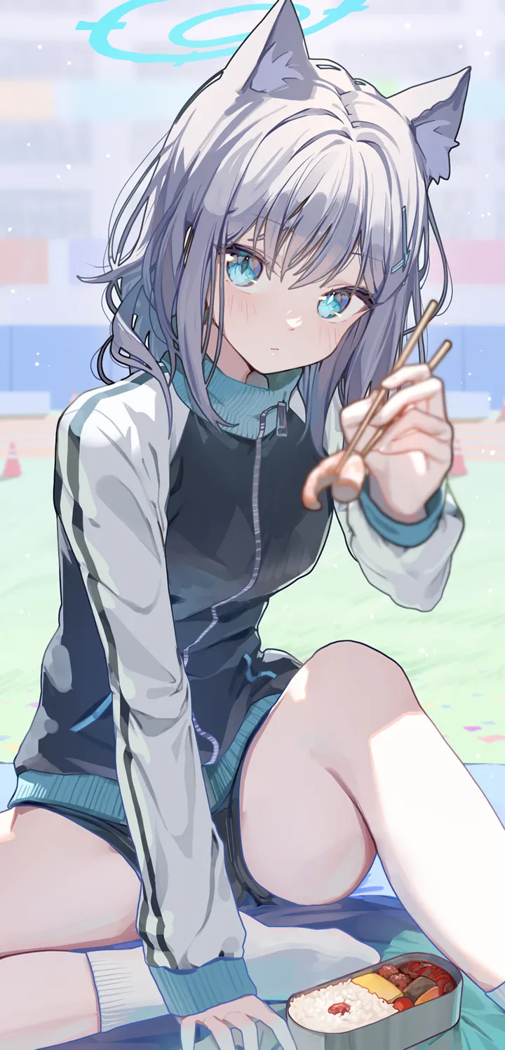 1girl,mismatched_pupils,medium_hair,bento,animal_ears,bangs,solo,closed_mouth,sitting,halo,hair_ornament,jacket,holding,holding_chopsticks,grey_hair,wolf_ears,white_socks,looking_at_viewer,shorts,vertical,chopsticks,short_shorts,animal_ear_fluff,blush,blue_eyes,socks,extra_ears,track_jacket,long_sleeves,food,black_shorts